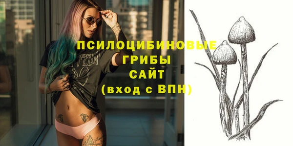 амф Кодинск