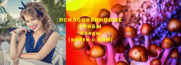 не бодяженный Козельск
