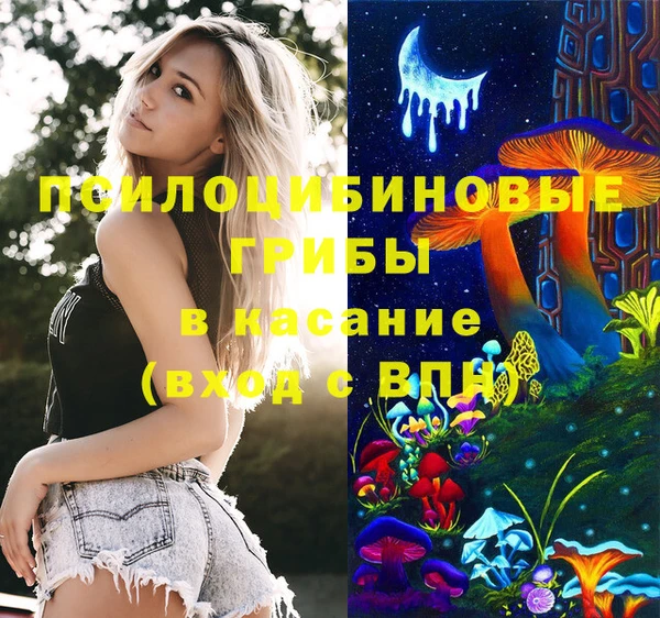 не бодяженный Козельск